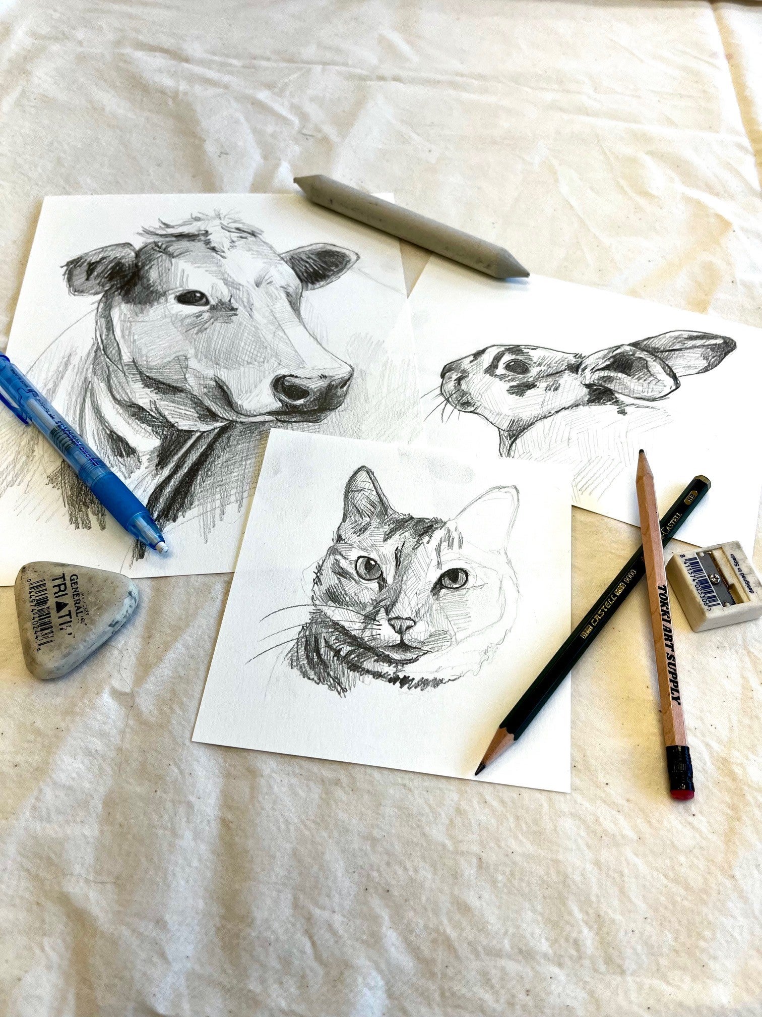 8/08 Drawing Basics: Animals | Tokki Art Supply