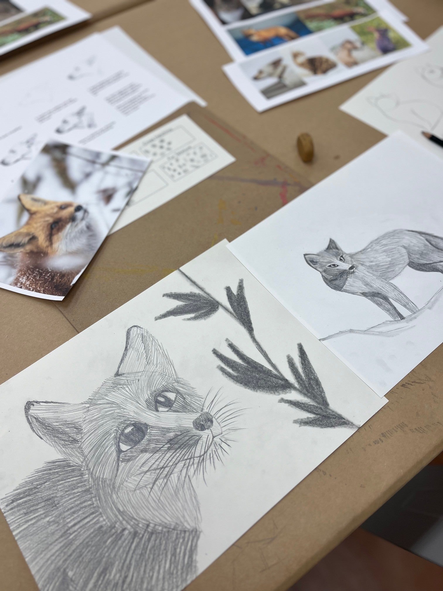 8/08 Drawing Basics: Animals | Tokki Art Supply